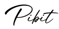 单词Pibit书写