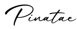 单词Pinatae书写