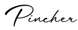 单词Pincher书写