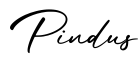 单词Pindus书写