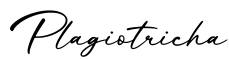 单词Plagiotricha书写