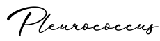 单词Pleurococcus书写