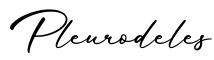 单词Pleurodeles书写