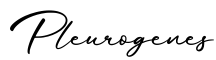 单词Pleurogenes书写