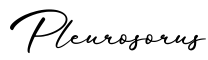 单词Pleurosorus书写