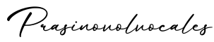 单词Prasinovolvocales书写