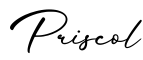 单词Priscol书写