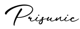 单词Prisunic书写