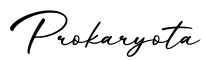 单词Prokaryota书写