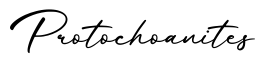 单词Protochoanites书写