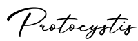单词Protocystis书写