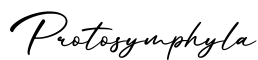 单词Protosymphyla书写