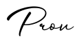 单词Prov书写
