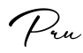 单词Pru书写