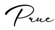 单词Prue书写