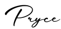 单词Pryce书写