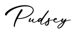 单词Pudsey书写