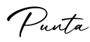 单词Punta书写