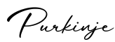 单词Purkinje书写
