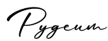 单词Pygeum书写