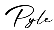 单词Pyle书写
