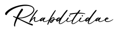 单词Rhabditidae书写