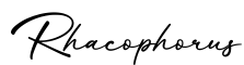 单词Rhacophorus书写