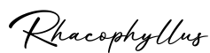 单词Rhacophyllus书写
