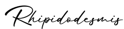 单词Rhipidodesmis书写