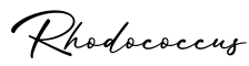 单词Rhodococcus书写