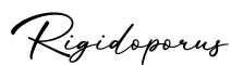 单词Rigidoporus书写