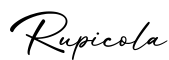 单词Rupicola书写