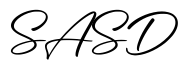 单词SASD书写