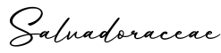 单词Salvadoraceae书写