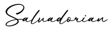 单词Salvadorian书写