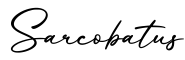 单词Sarcobatus书写