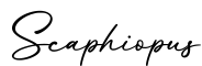 单词Scaphiopus书写