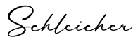 单词Schleicher书写
