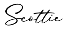 单词Scottie书写