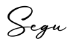 单词Segu书写