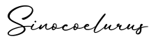 单词Sinocoelurus书写