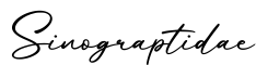 单词Sinograptidae书写