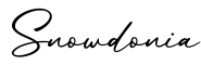 单词Snowdonia书写