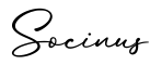 单词Socinus书写