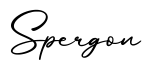 单词Spergon书写