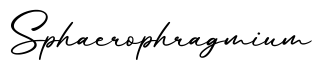 单词Sphaerophragmium书写