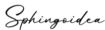 单词Sphingoidea书写