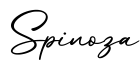 单词Spinoza书写