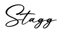 单词Stagg书写