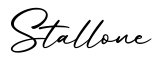 单词Stallone书写